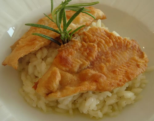 risotto filetti pesce persico