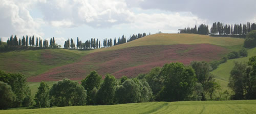 paesaggio siena